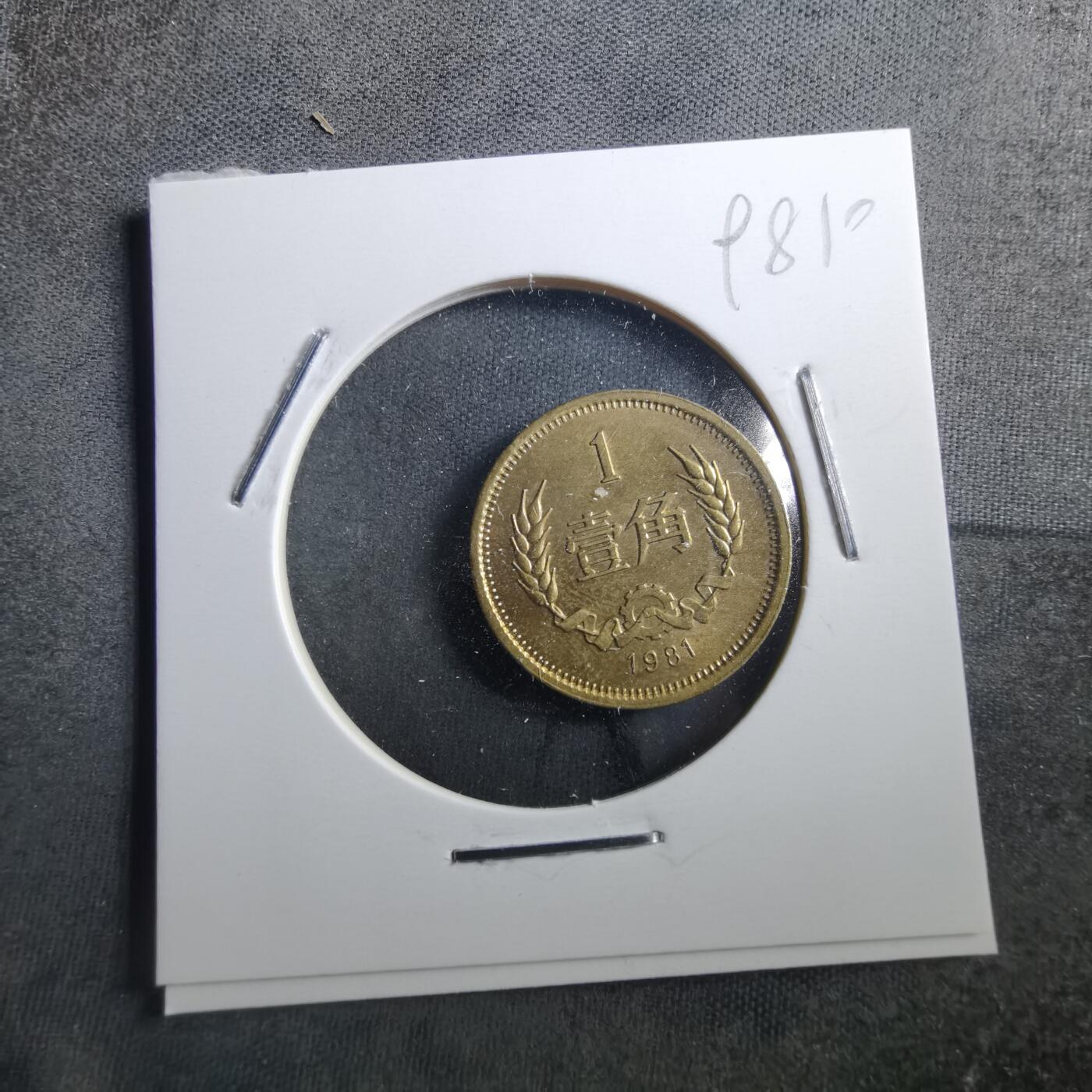 沼泽如烟--第898场