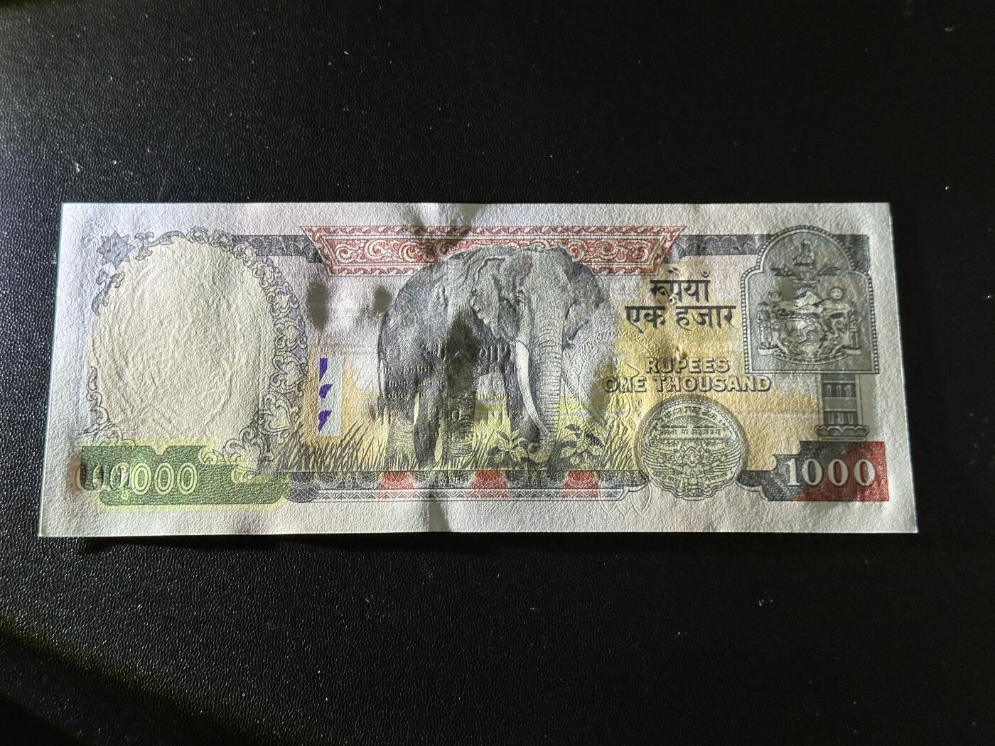 《外钞收藏家》第五百八十三期（精选场）（本期拍品丰富）（本平台长期征集拍品、欢迎藏友们联系合作） 尼泊尔1000卢比 全新 有针孔