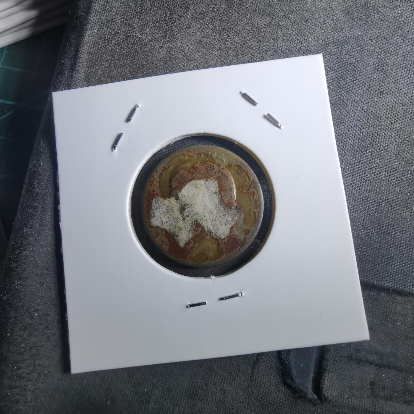 沼泽如烟--第897场