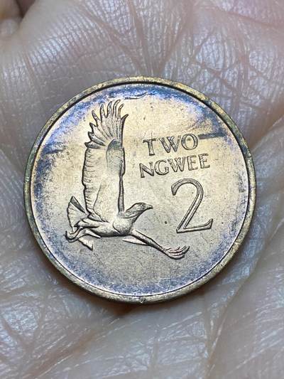 2025年第一百二十六场(总第一百五十二场）外国好品散币(免佣金) - 赞比亚🇿🇲1983年2恩韦