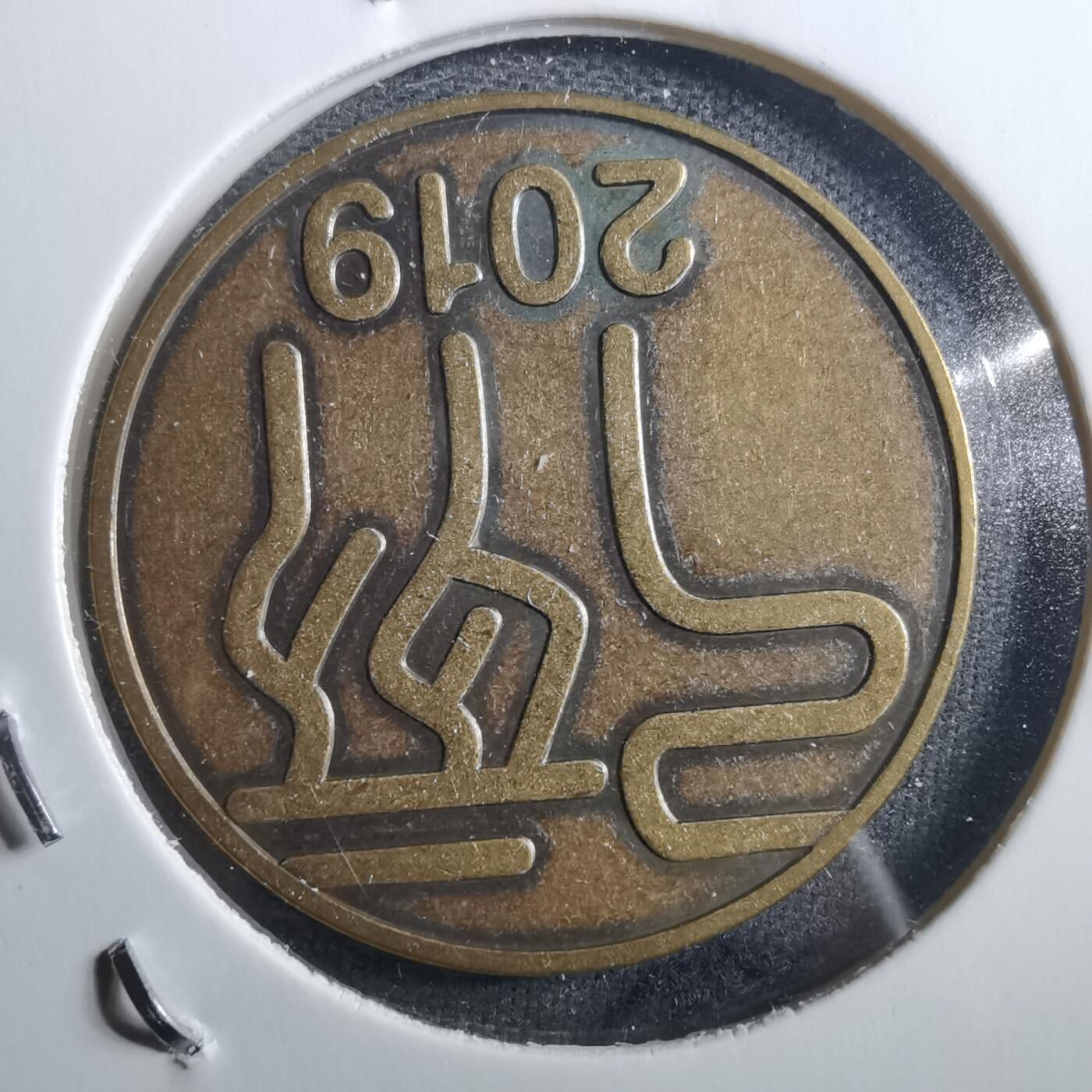 沼泽如烟--第898场 2019年生肖猪