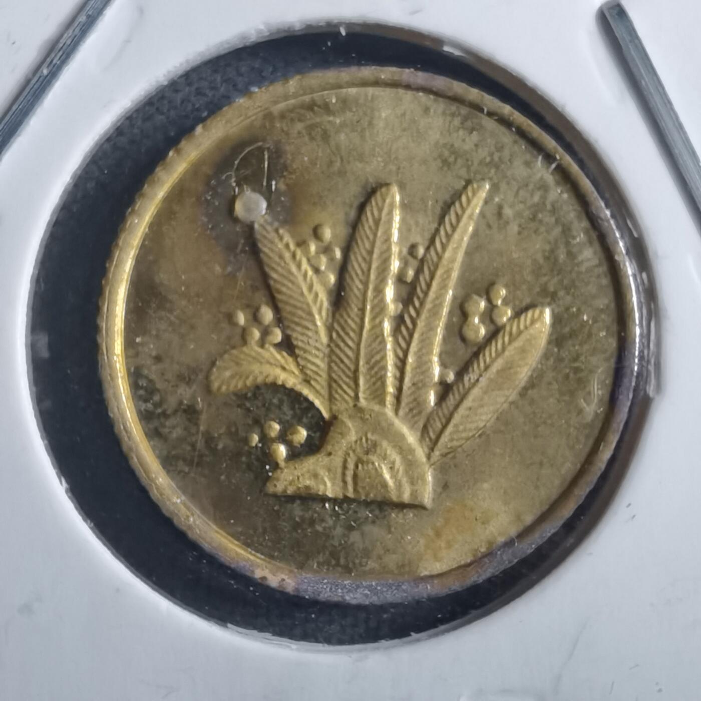 沼泽如烟--第898场 币形章非币