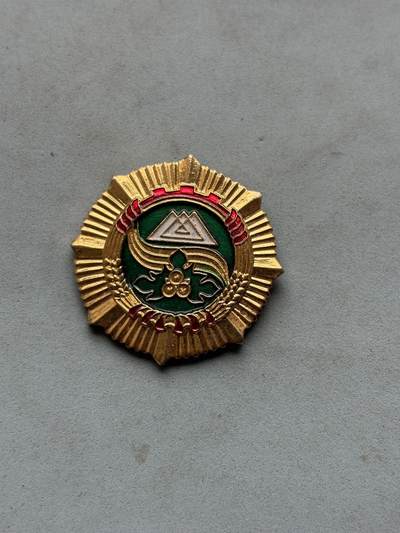 盛世勋华——号角文化勋章邮票专场拍卖第287期 - 克孜勒苏柯尔克孜自治州成立30周年纪念徽章