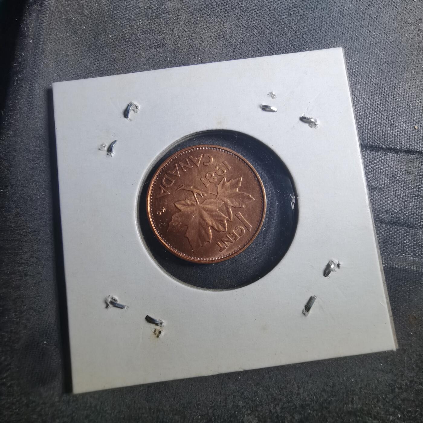 沼泽如烟--第896场 加拿大1981年一分