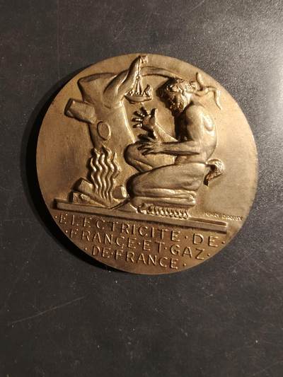 老王徽章第162期 -  法国电气公司大铜章     大师Dropsy作品     直径54mm.    重量69.2g
