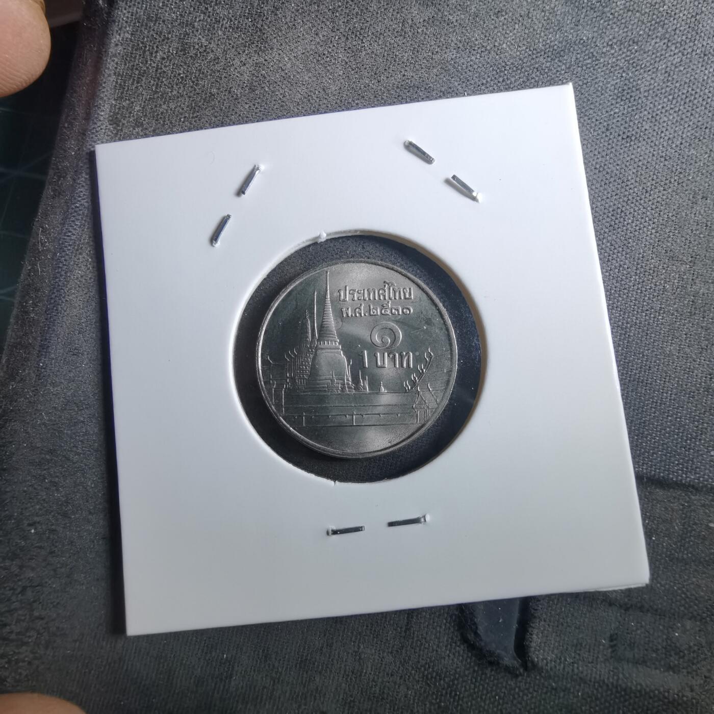 沼泽如烟--第897场 泰国