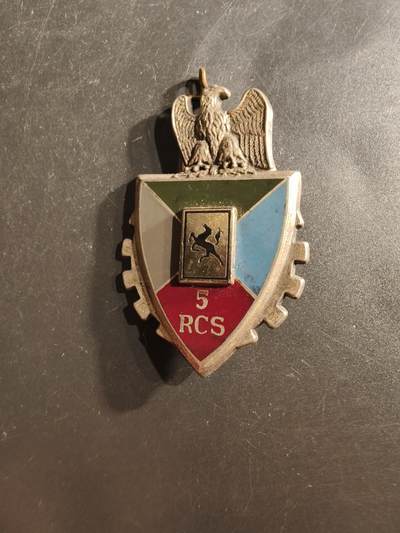 老王徽章第162期 - 法国陆军第5指挥与支援团证章 