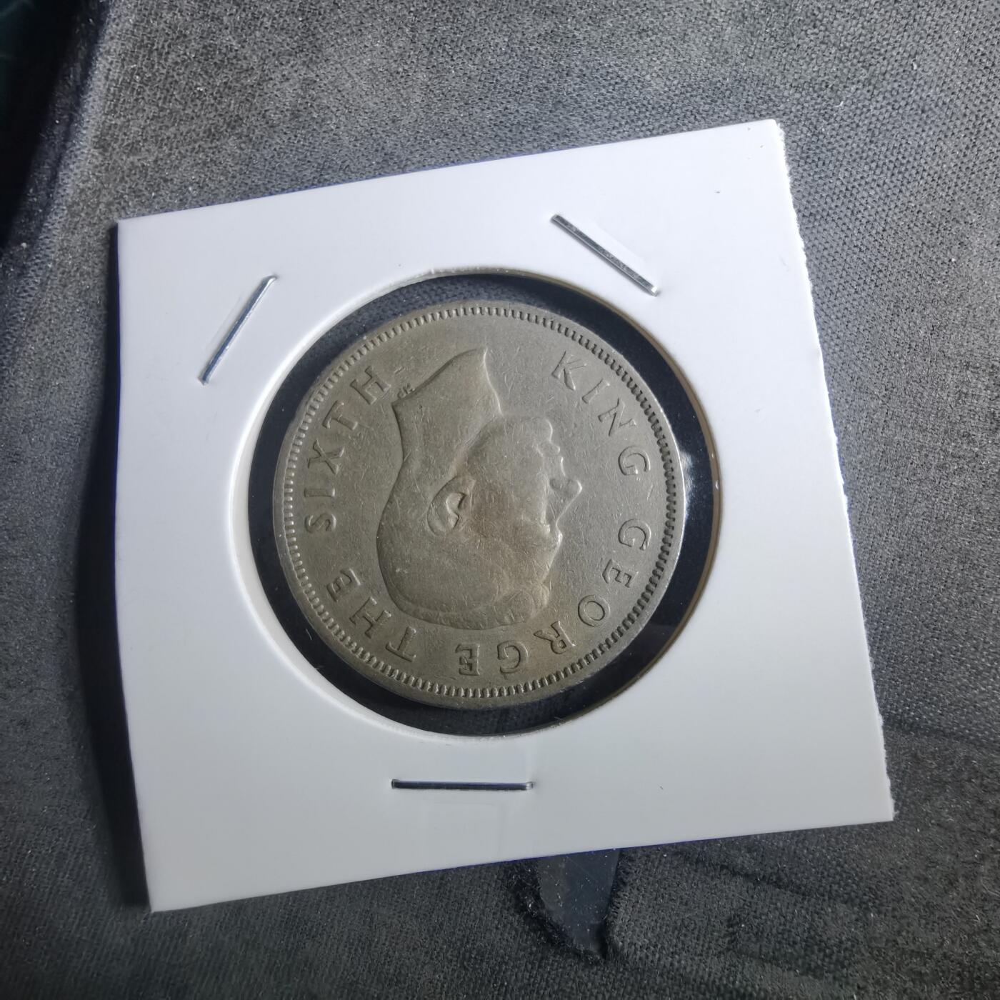 沼泽如烟--第897场