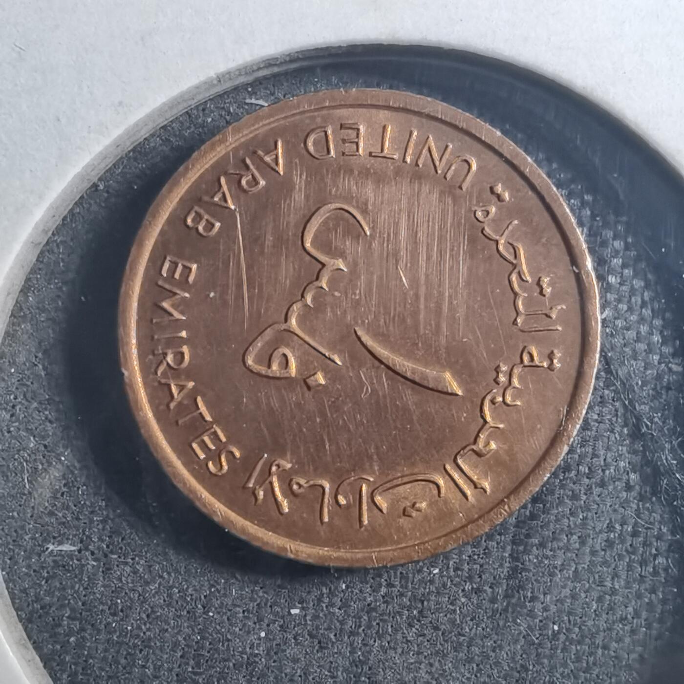 沼泽如烟--第896场 阿联酋