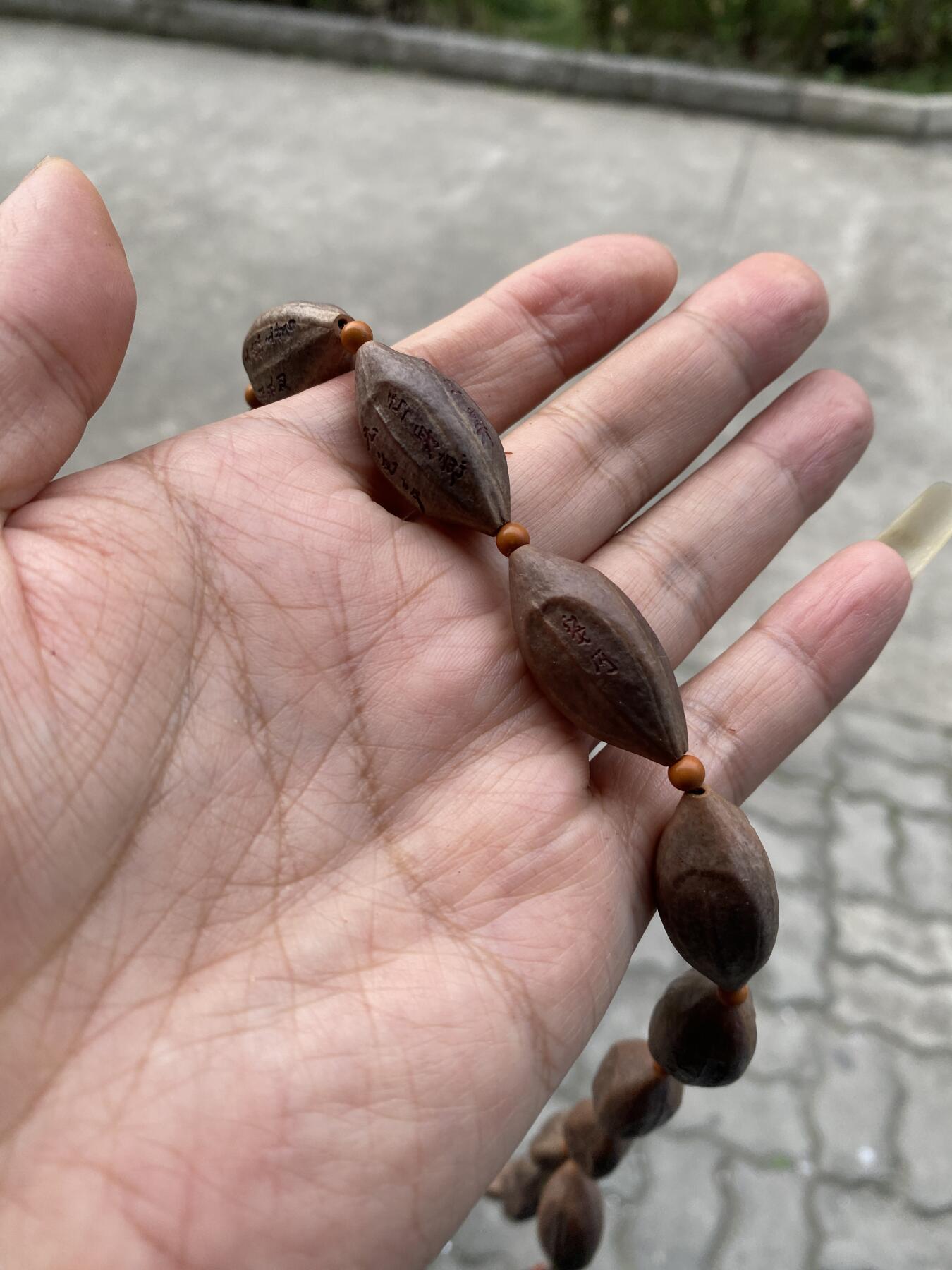 大佬都在看的苏工核雕捡漏价