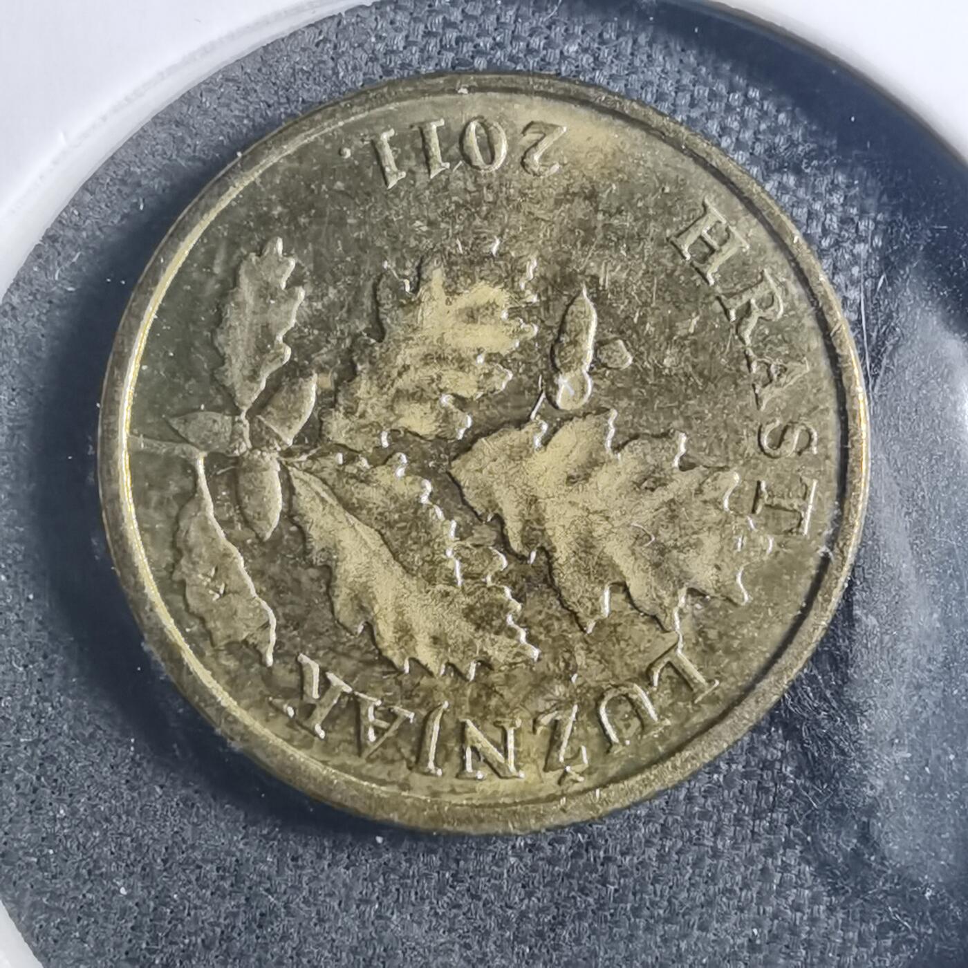 沼泽如烟--第896场 克罗地亚2011年5利帕