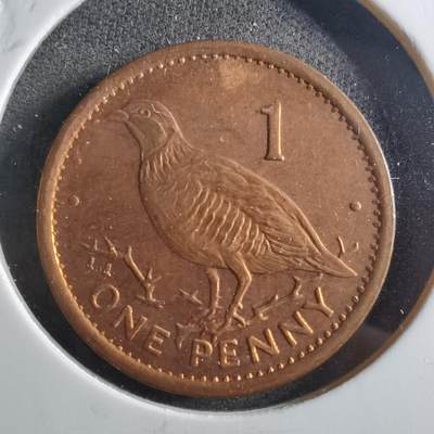 沼泽如烟--第898场 - 直布罗陀1996年1便士