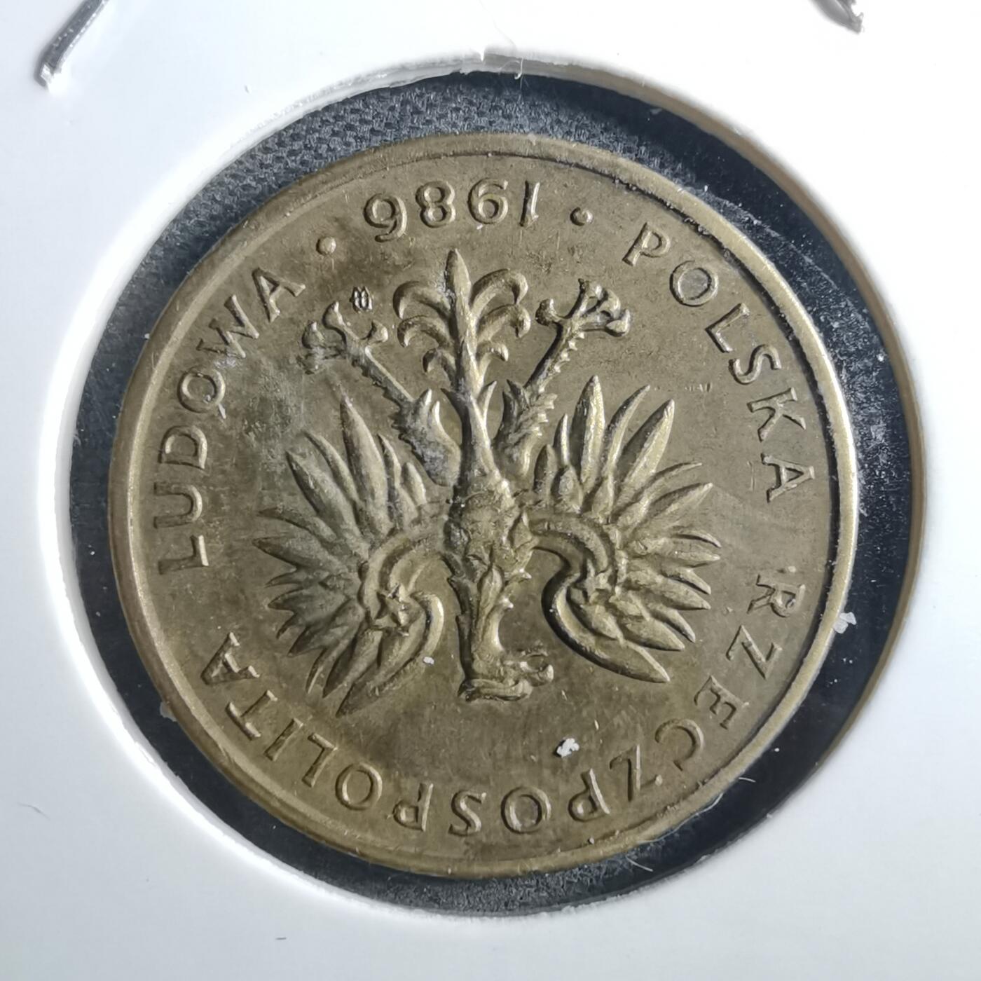 沼泽如烟--第897场 波兰1986年5兹罗提