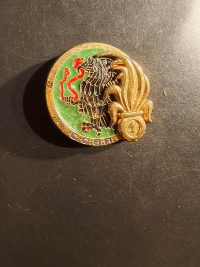 老王徽章第162期 -  法国外籍军团第1步兵团阿尔及利亚伐木工兵连分队证章
