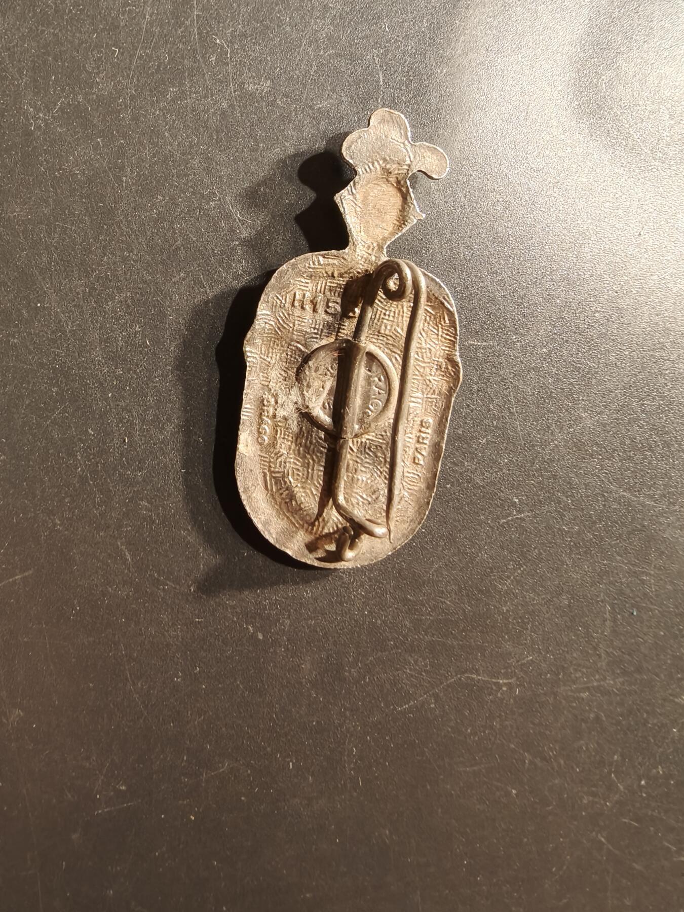 老王徽章第162期  法国第二非洲猎骑兵团证章