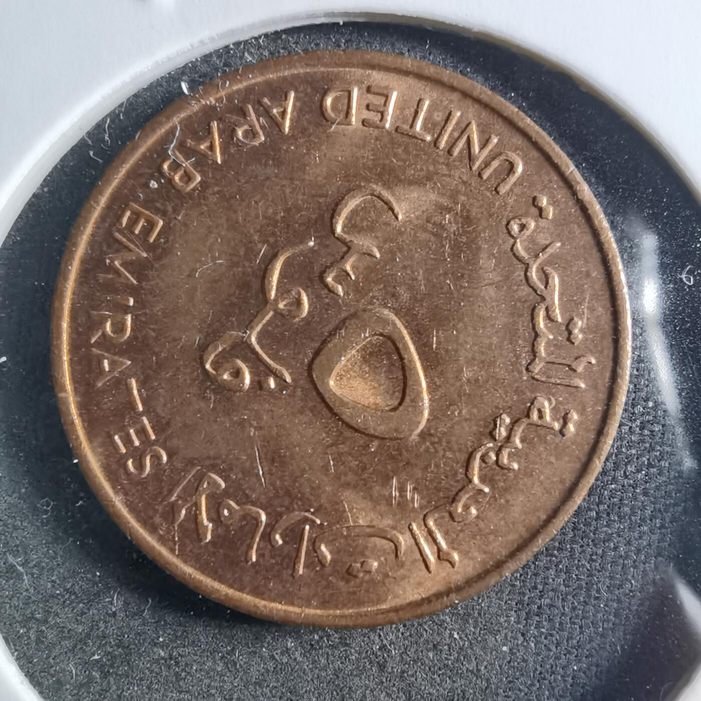 沼泽如烟--第898场 阿联酋