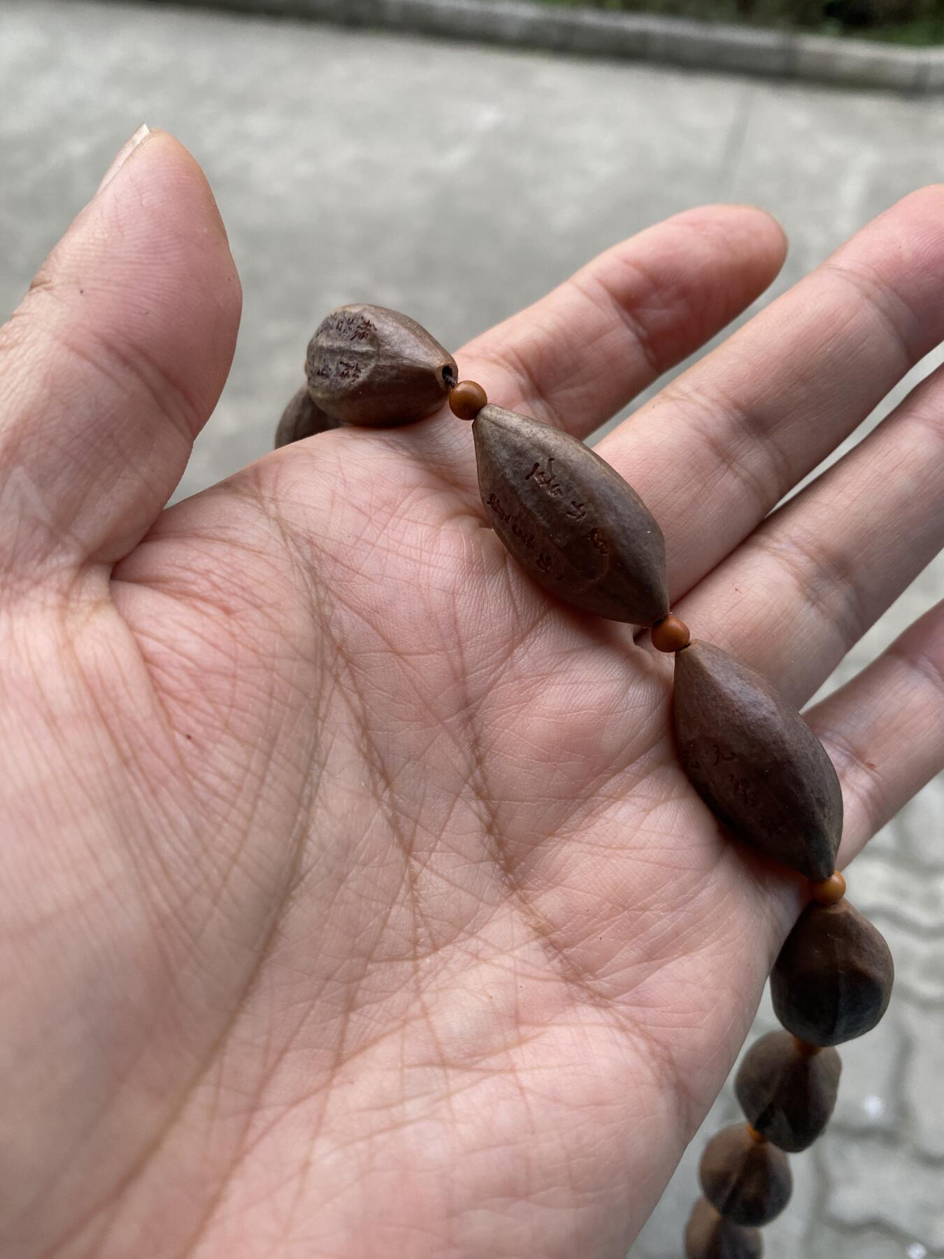 大佬都在看的苏工核雕捡漏价