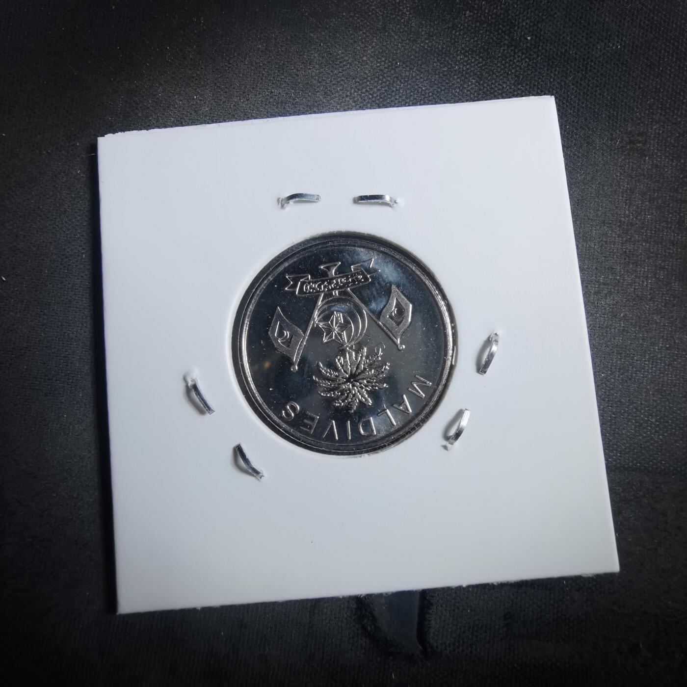 沼泽如烟--第898场 币形章非币