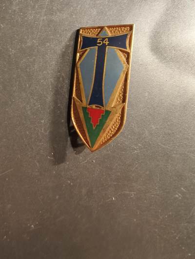 老王徽章第162期 - 法国陆军第54通信团证章 