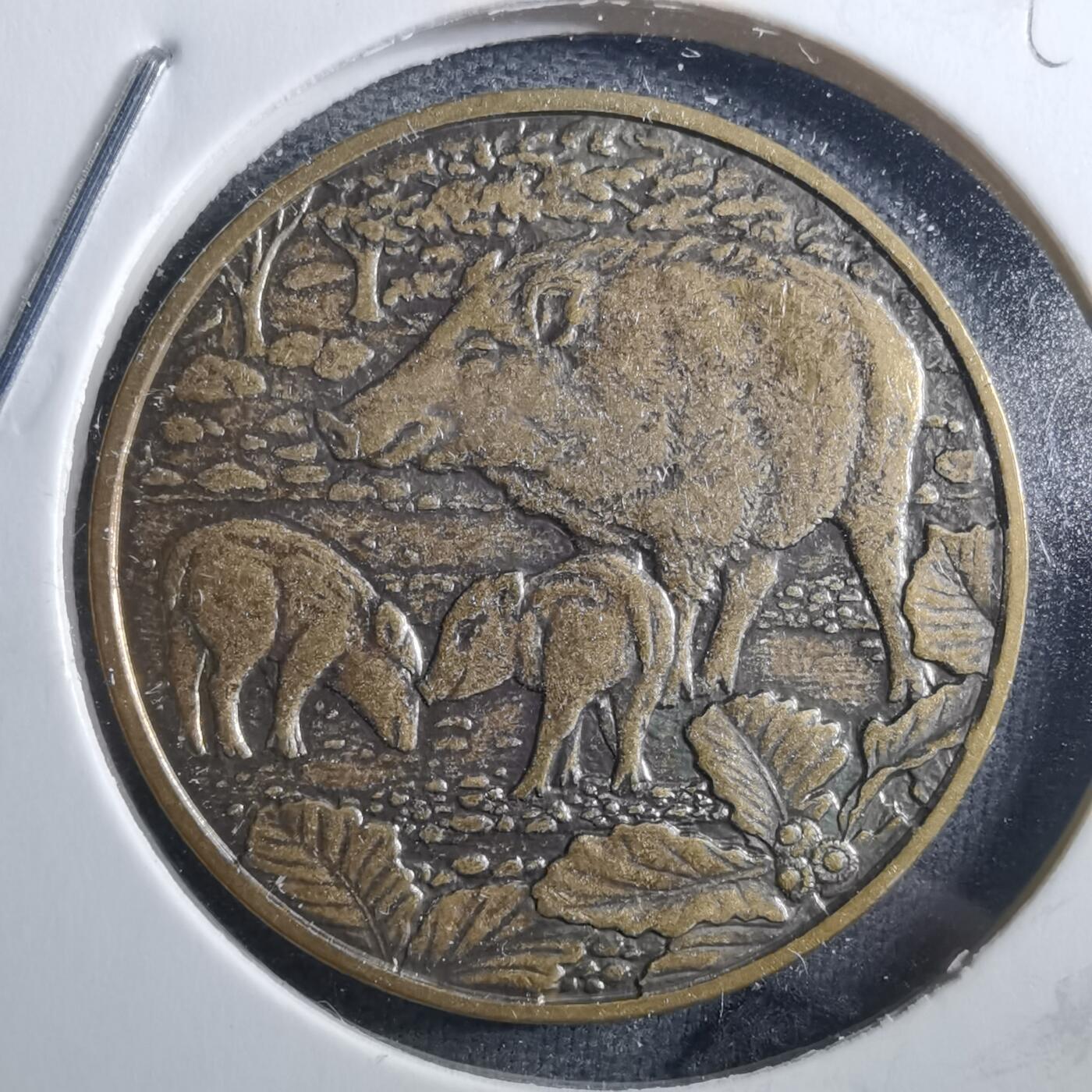 沼泽如烟--第898场 2019年生肖猪