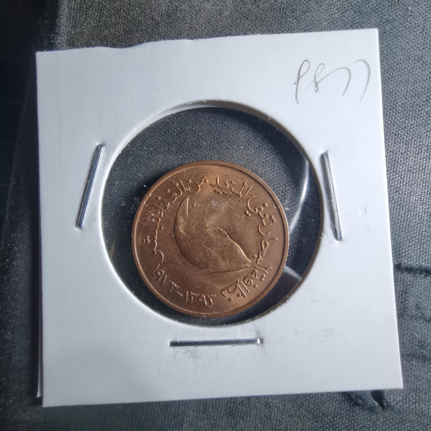 沼泽如烟--第898场 阿联酋