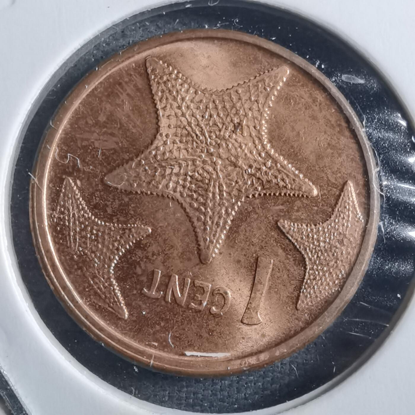 沼泽如烟--第898场