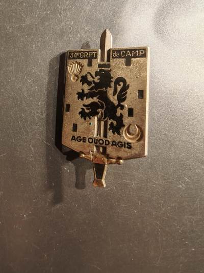 老王徽章第162期 -  法国第34野战军营大队证章