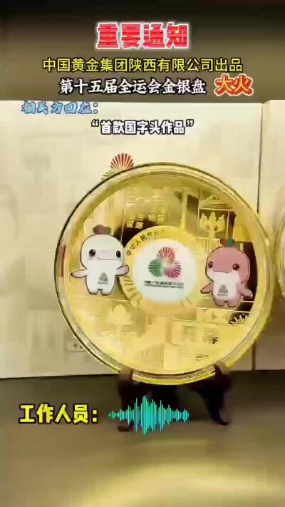 第十五届全运会金银盘
