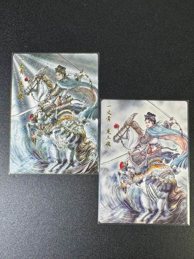 NO.15 好又多金牌大场，双11狂欢继续！每周一站式配齐，方便凑单！（周6晚8点截拍，卖家送拍0抽成！） - 齐卡文化 涌喆五虎 梓墨 扈三娘 半粗+普卡