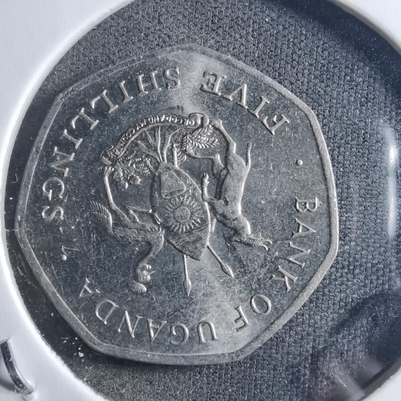 沼泽如烟--第898场