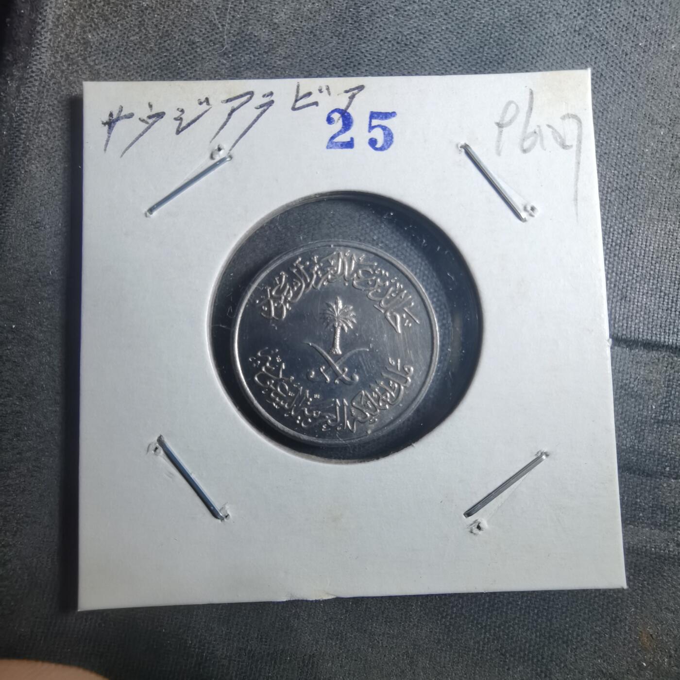 沼泽如烟--第896场 沙特