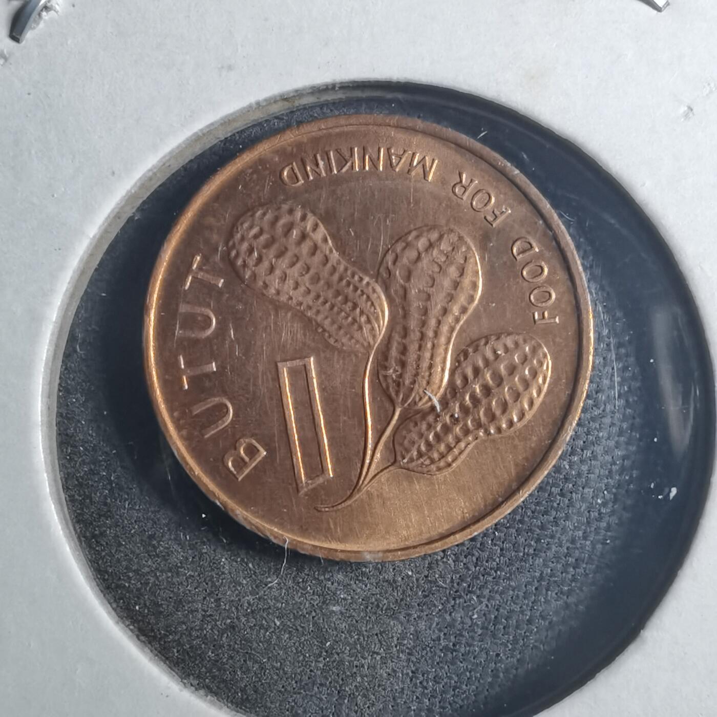 沼泽如烟--第896场 冈比亚1974年1布图