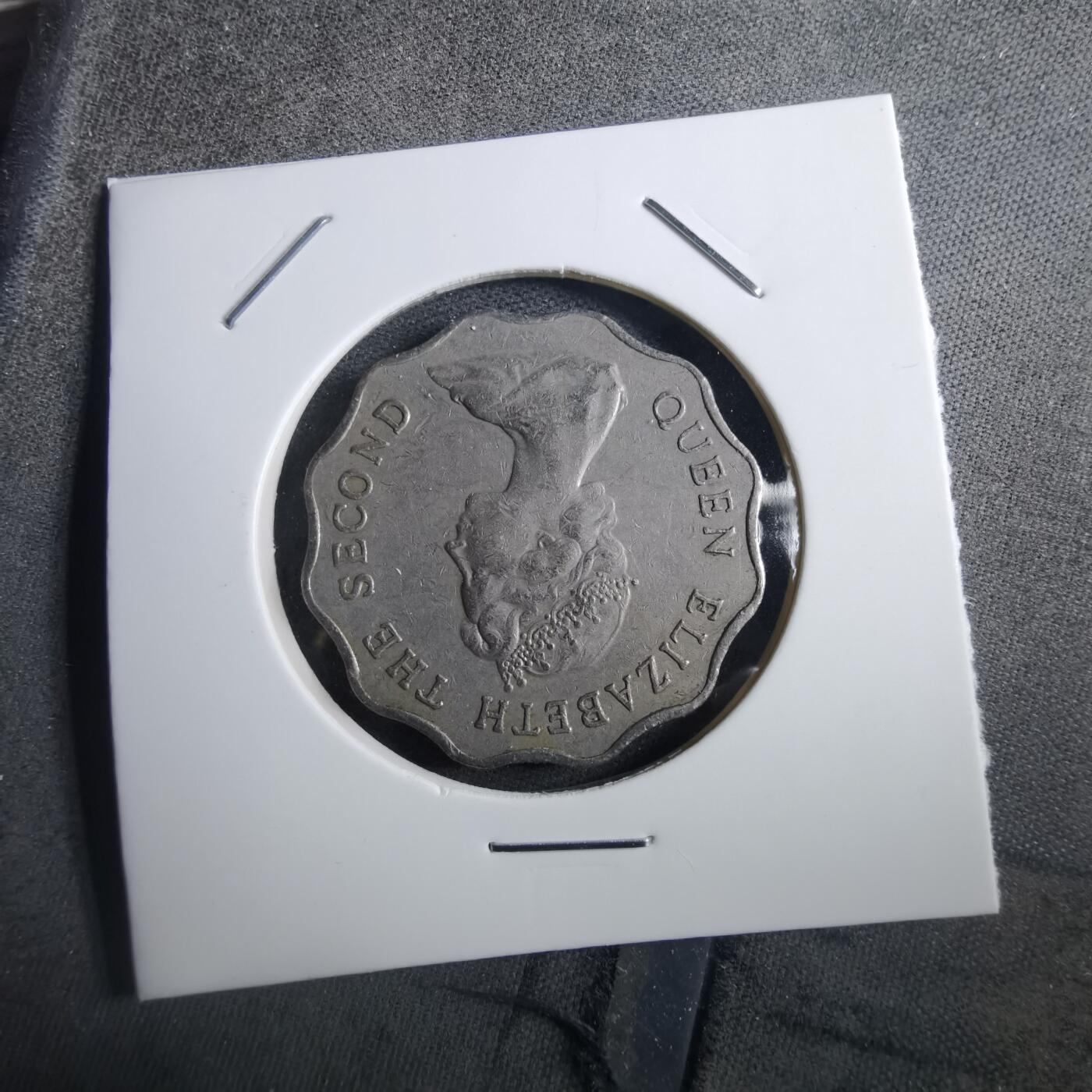 沼泽如烟--第897场 香港1975年二元