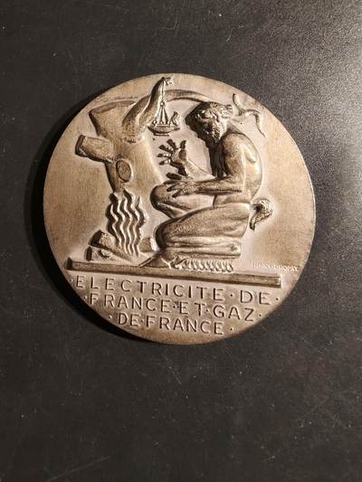 老王徽章第162期 - 法国电气公司镀银大铜章    大师Dropsy作品    直径54mm.    重量70.6g
