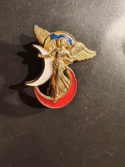 老王徽章第162期 -  法国阿尔及利亚第3步兵师证章