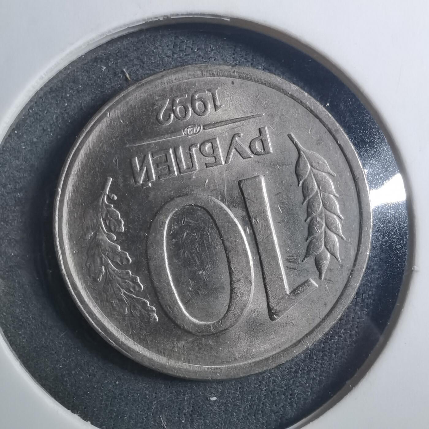 沼泽如烟--第896场