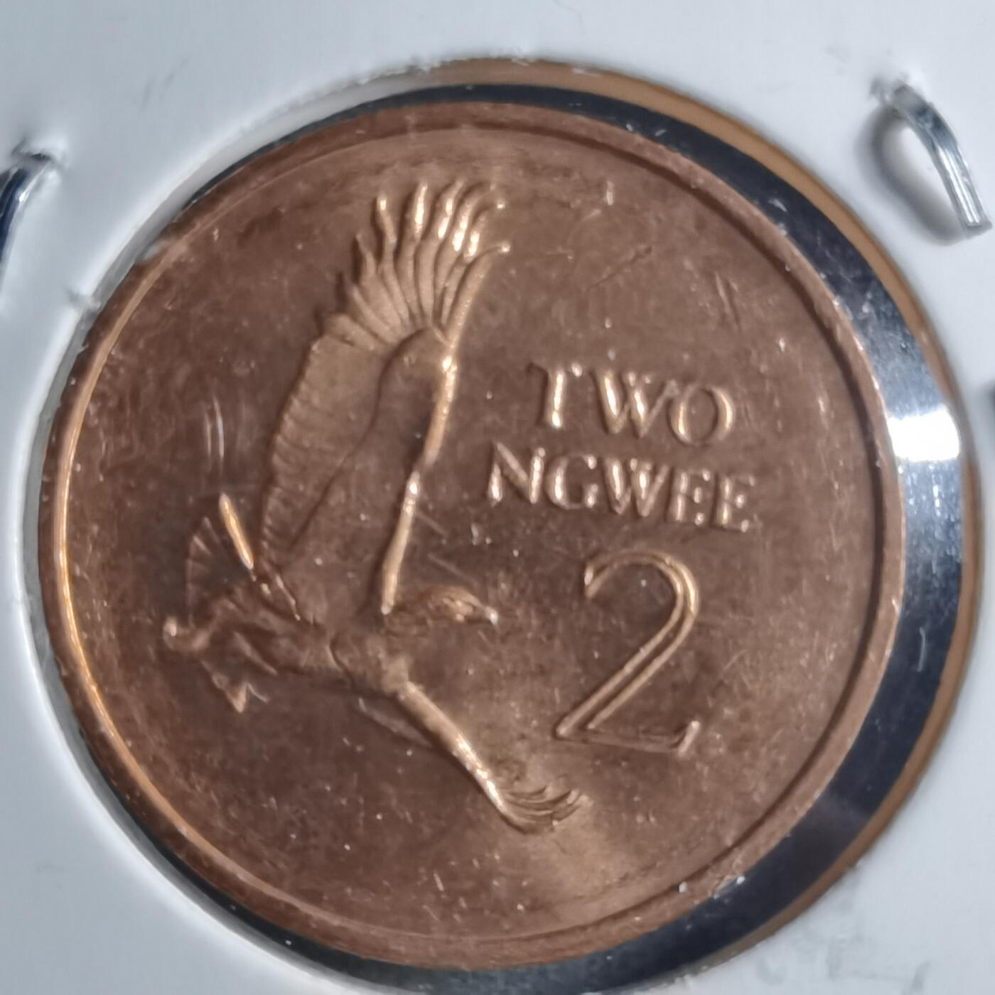 沼泽如烟--第898场 赞比亚1983年2恩韦