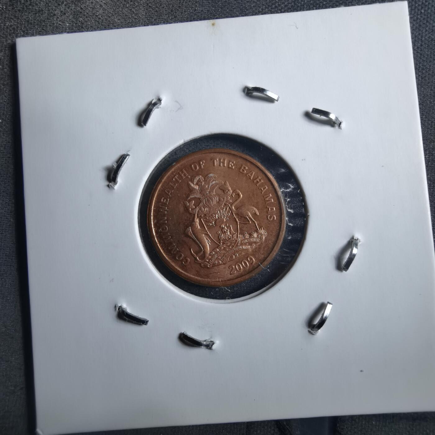 沼泽如烟--第898场