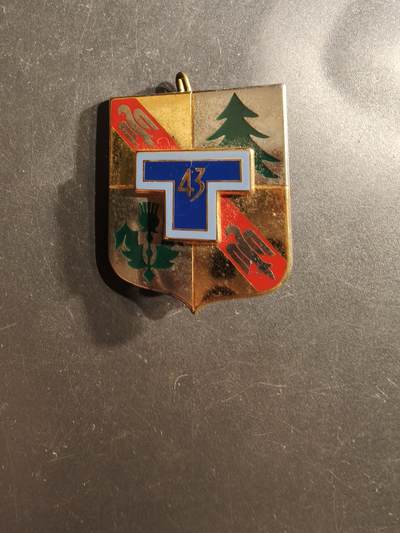 老王徽章第162期 - 法国陆军第43通信团证章 