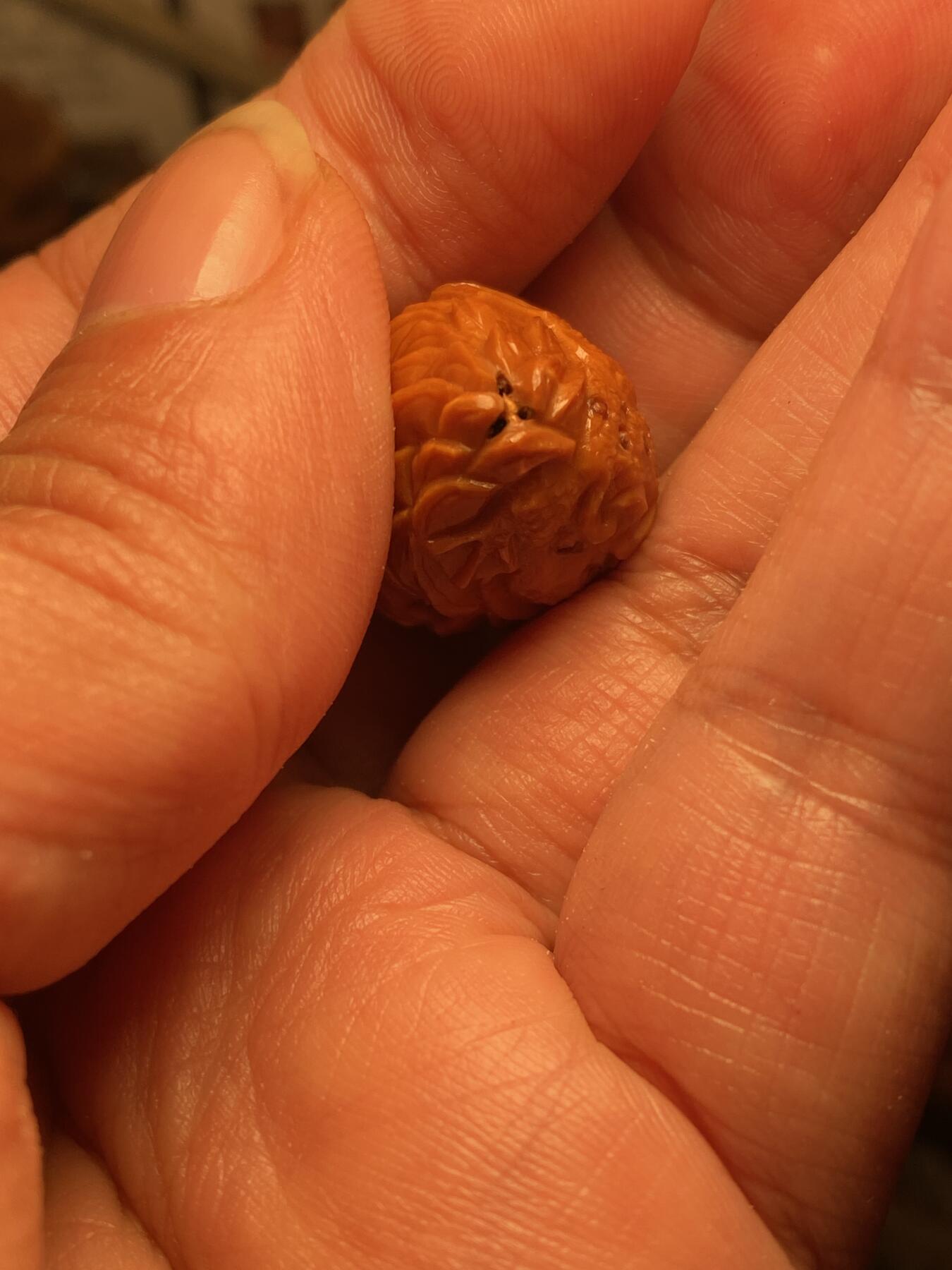 大佬都在看的苏工核雕捡漏价 福利苏工核雕，纯手工雕刻，老苏工铁核招财进宝，金蟾三通，个性十足，等待有缘人，市场无同款，尺寸1。95x2。9喜欢的来