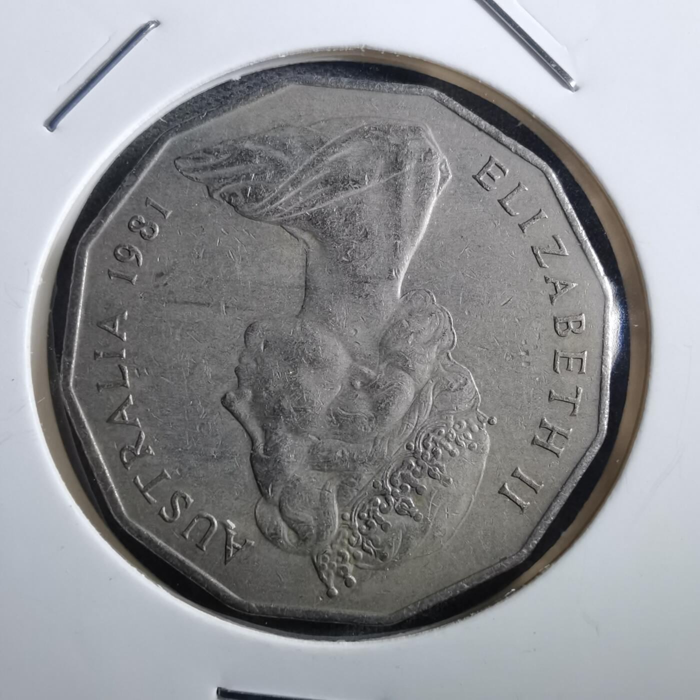 沼泽如烟--第897场