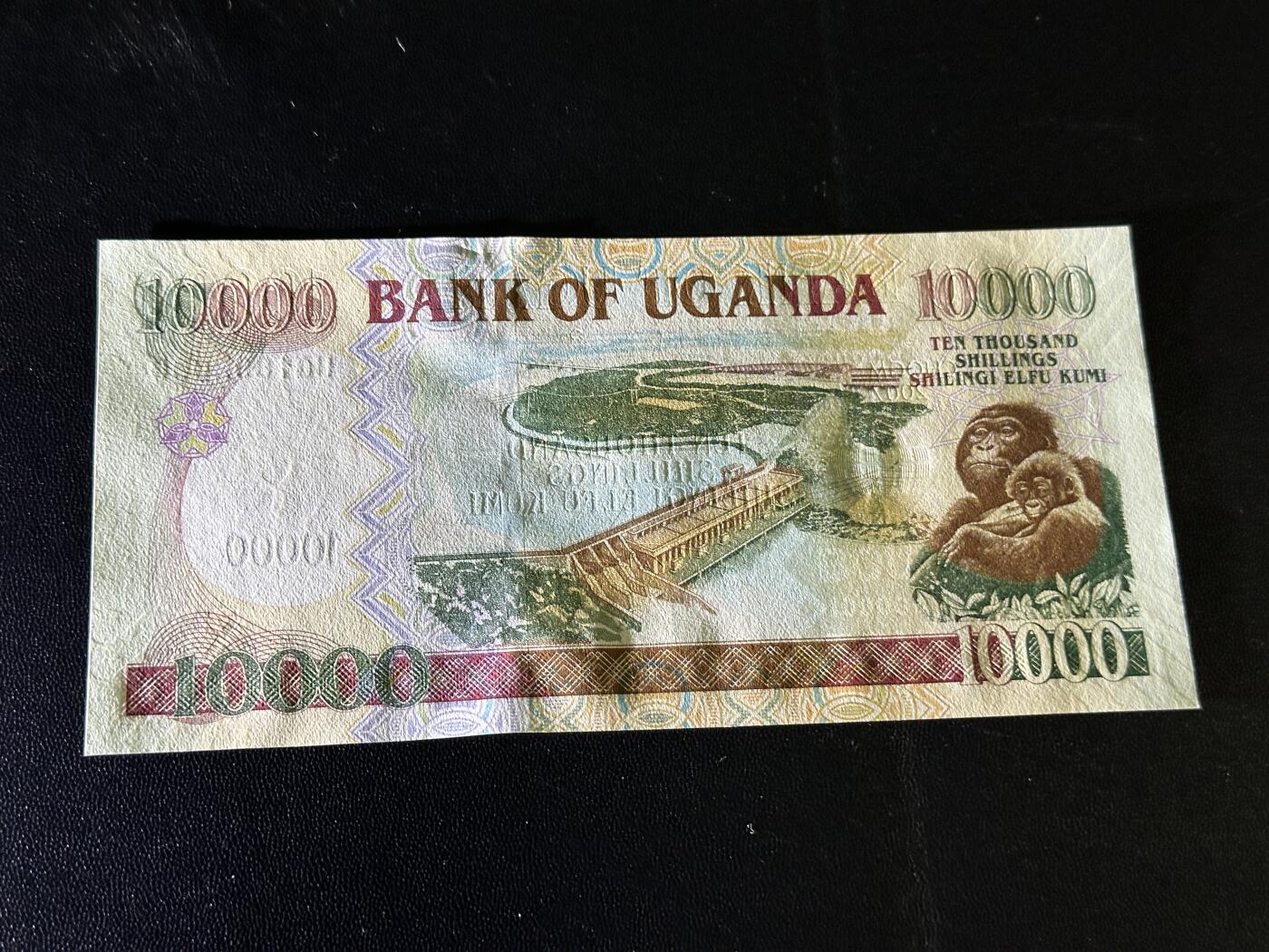 《外钞收藏家》第五百八十三期（精选场）（本期拍品丰富）（本平台长期征集拍品、欢迎藏友们联系合作） 2007年乌干达1万先令 全新UNC 无47靓号