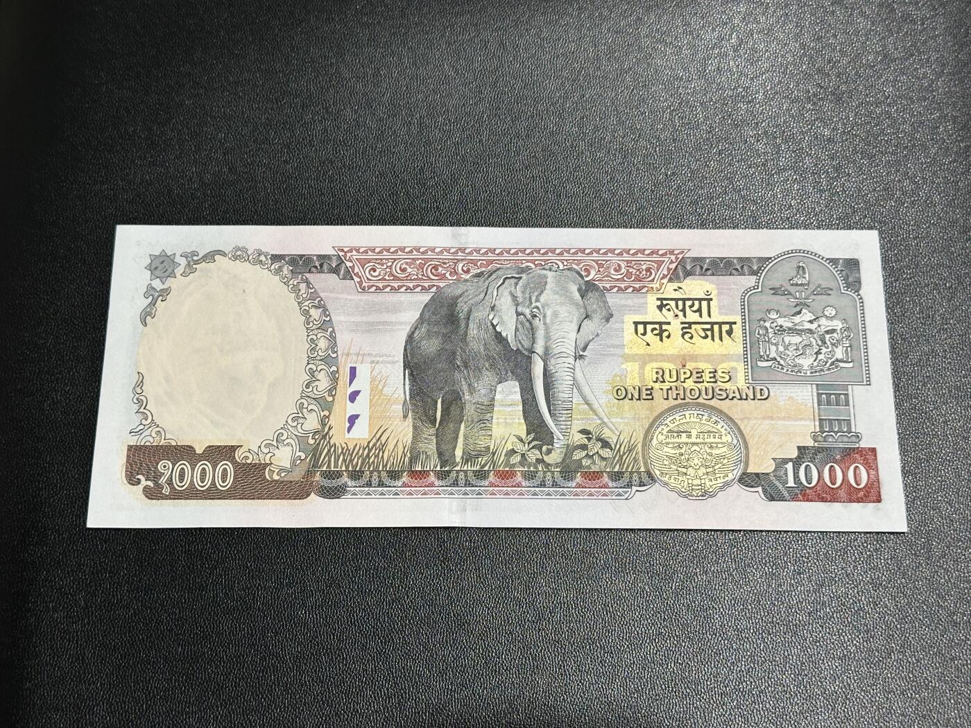 《外钞收藏家》第五百八十三期（精选场）（本期拍品丰富）（本平台长期征集拍品、欢迎藏友们联系合作） 尼泊尔1000卢比 全新 有针孔