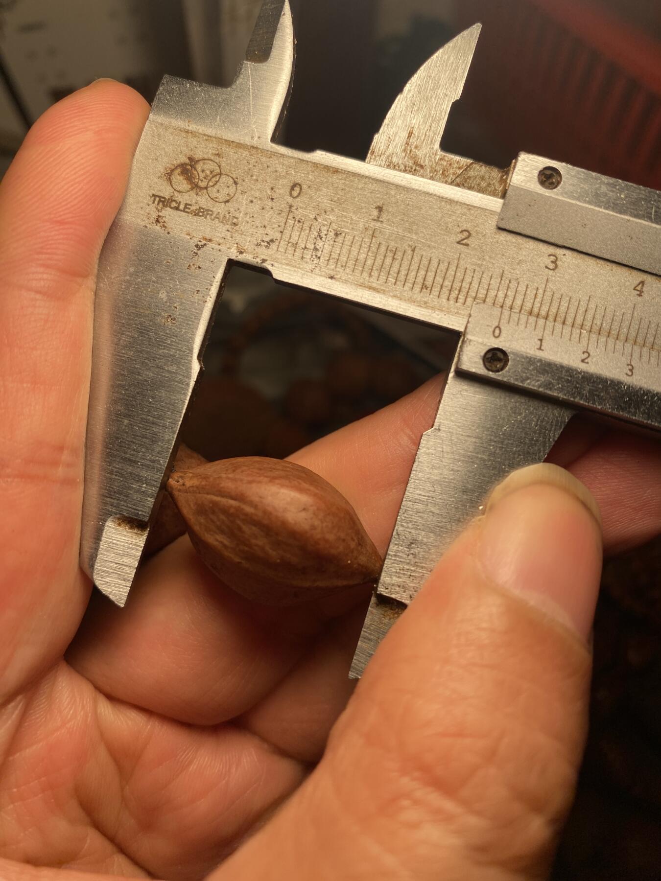 大佬都在看的苏工核雕捡漏价