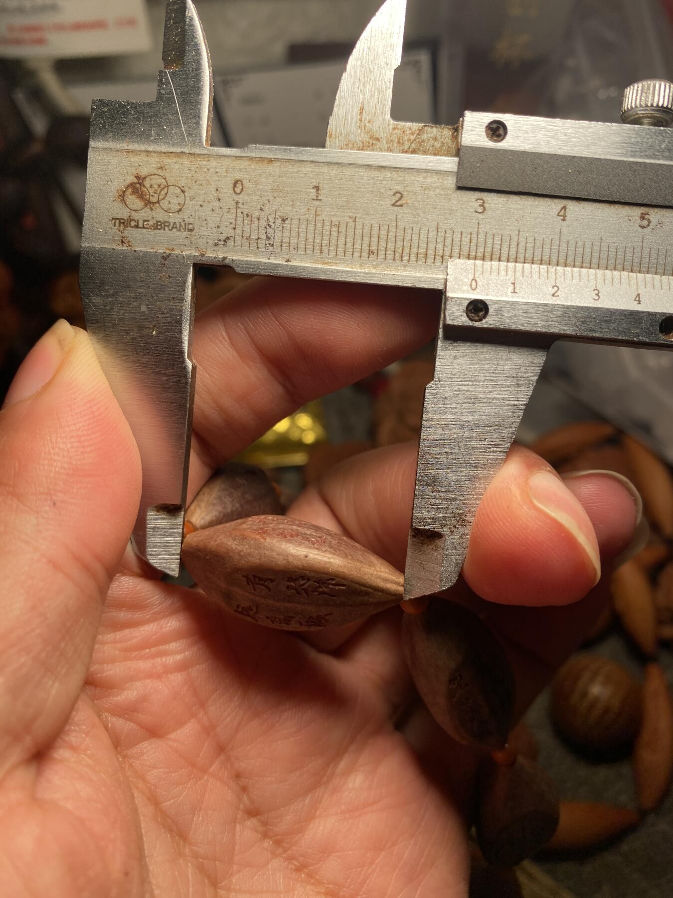 大佬都在看的苏工核雕捡漏价