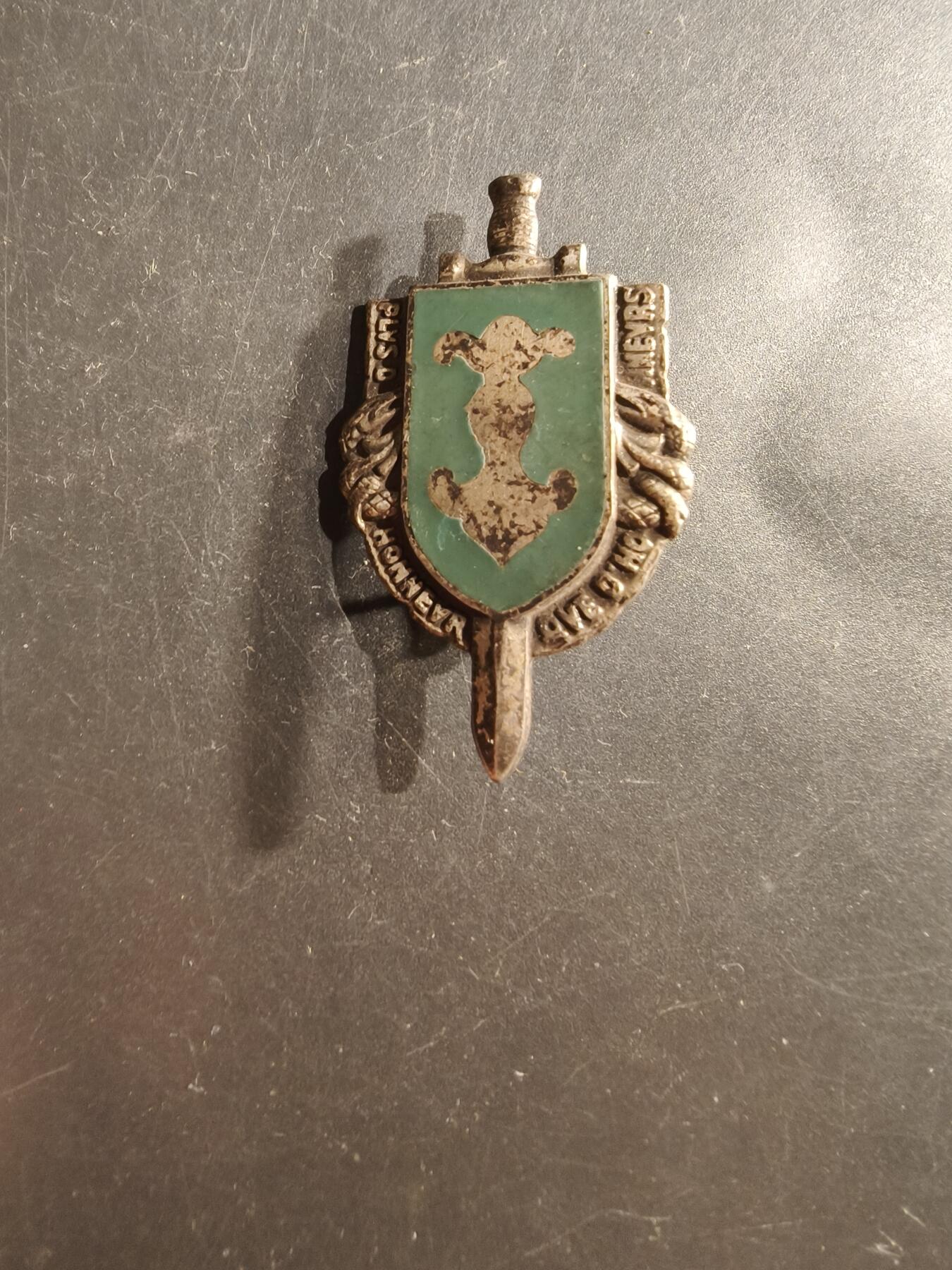 老王徽章第162期  法国第3装甲师证章      第3装甲师是法国陆军的一个师，成立于1943年，曾参加二战。