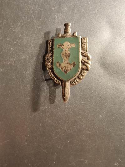 老王徽章第162期 -  法国第3装甲师证章      第3装甲师是法国陆军的一个师，成立于1943年，曾参加二战。