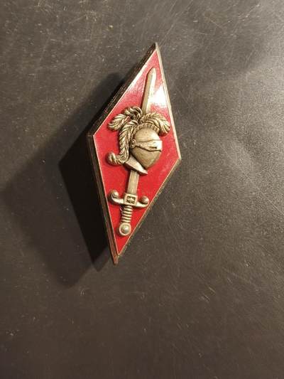 老王徽章第162期 -  法国陆军第10装甲师证章     第10装甲师于1977年创建，并于1997年解散。 该师在冷战期间驻扎在法国东部，是法国第一军团的一部分