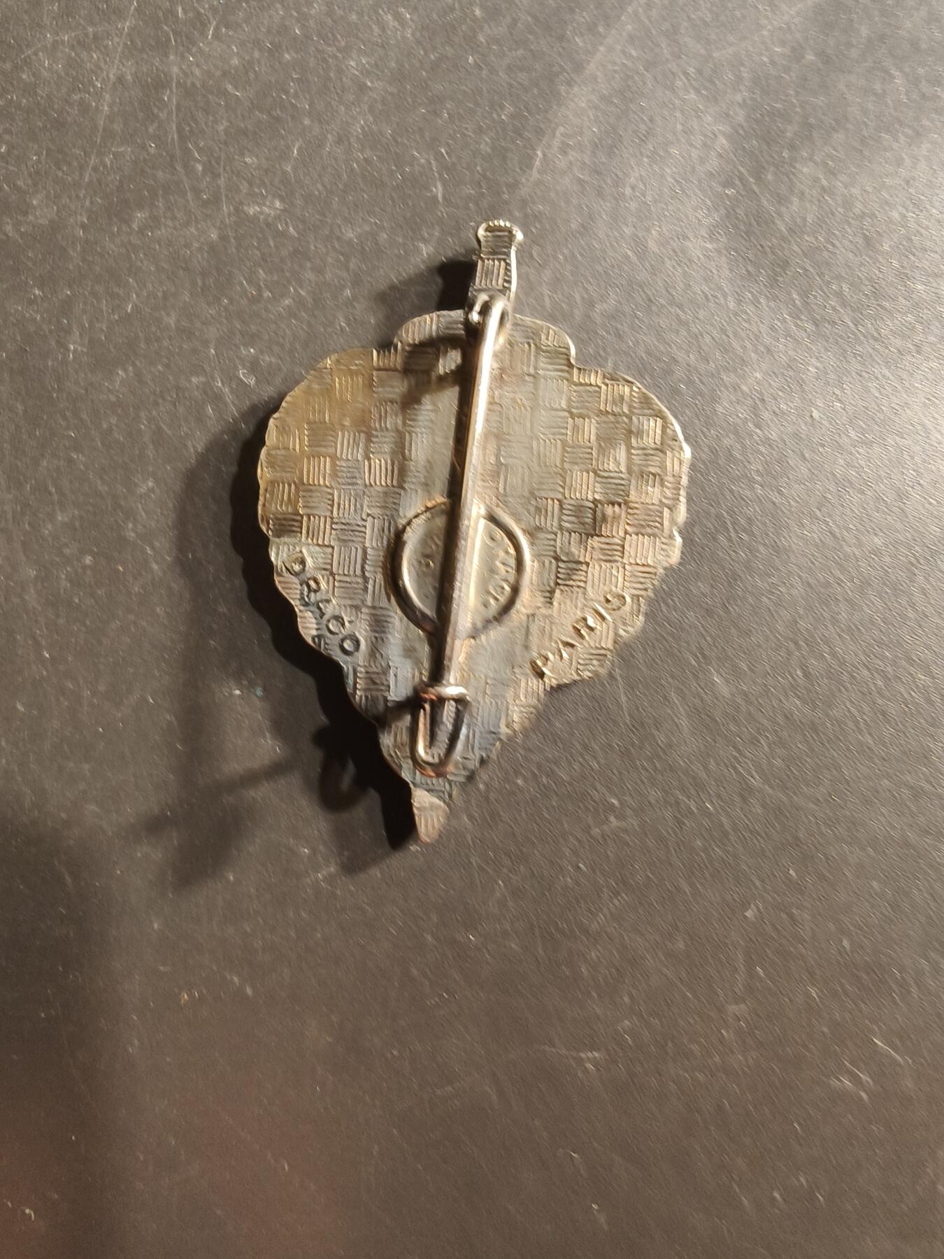 老王徽章第162期