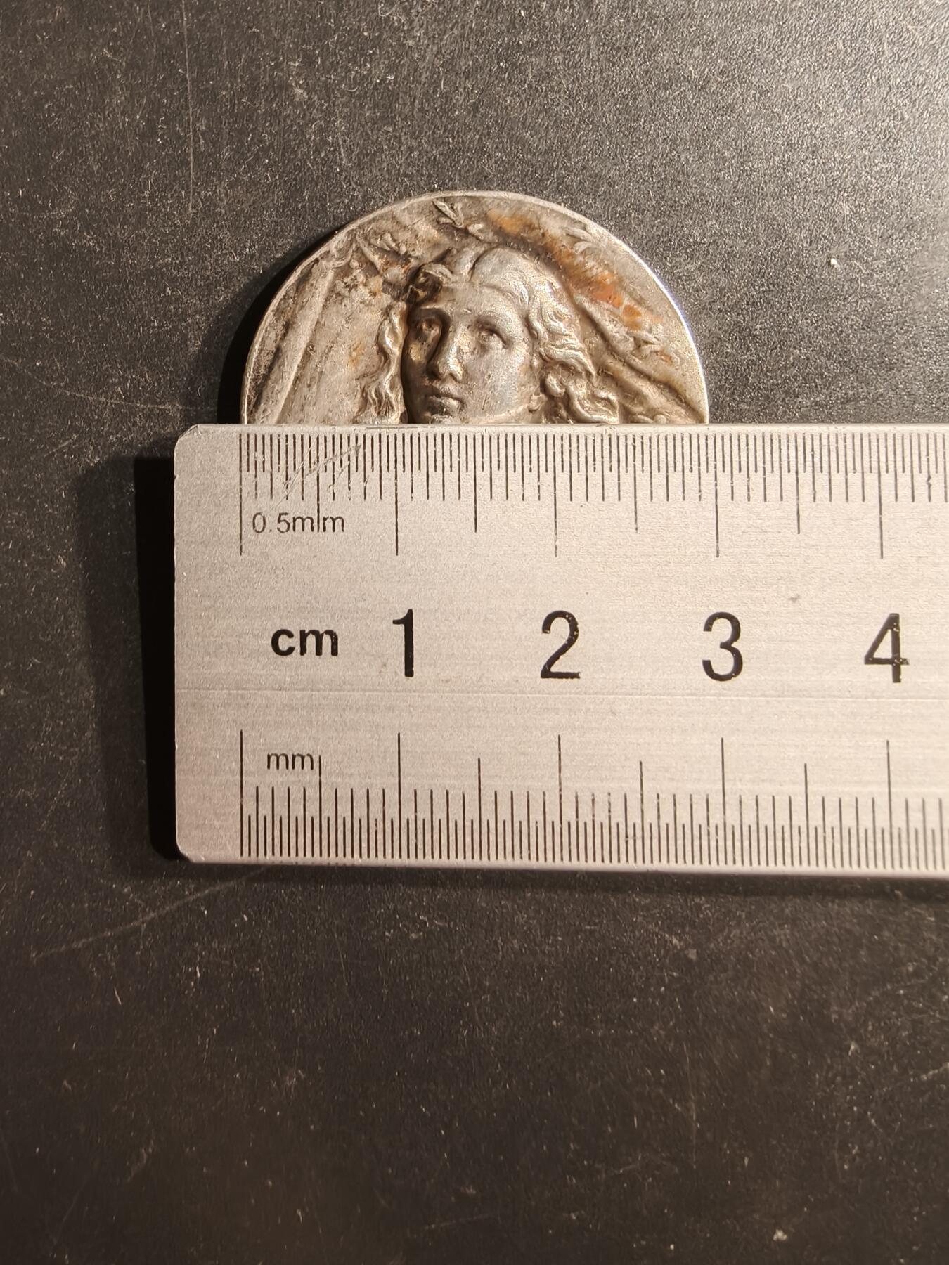 老王徽章第162期 法国圣女贞德纪念章   直径30mm.    重量9.9g.    背面铭文“我来拯救法兰西了”